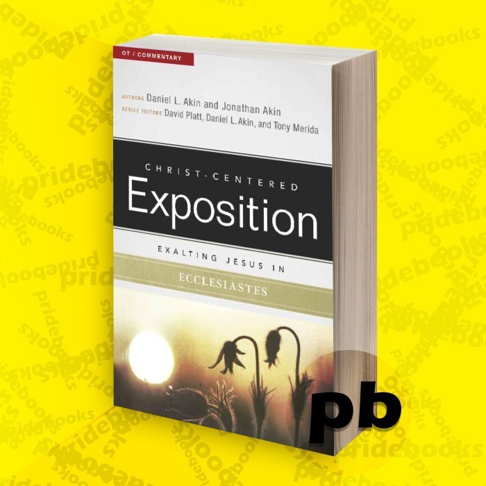 Exquisite Jesus in Ecclesiastes (Christ-Centered Expedition Commentary)