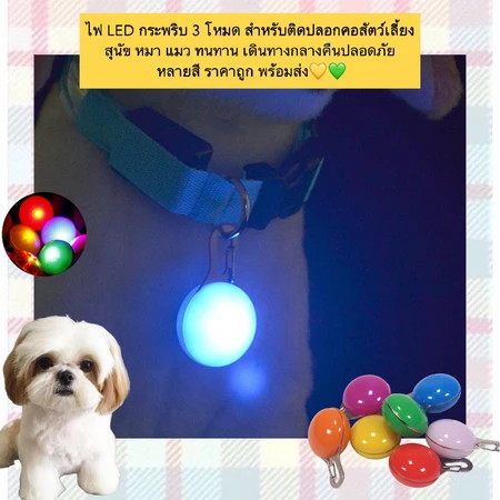 ไฟ LED  กระพริบ3โหมด สำหรับติดปลอกคอสัตว์เลี้ยง สุนัข หมา แมว ทนทาน เดินทางกลางคืนปลอดภัยหลายสี ราคาถูก พร้อมส่ง