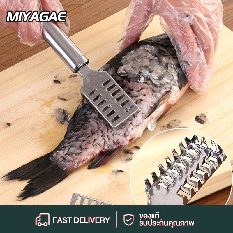 MIYAGAE ที่ขูดเกล็ดปลา ที่ขอดเกล็ดปลา สแตนเลส