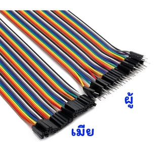 สายจั๊ม 10 15 20 30 40 ซม. Jumper Wire สายแพ 40 เส้น Jumper Arduino สายจัมเปอร์ พร้อมส่งโกดังไทย+++