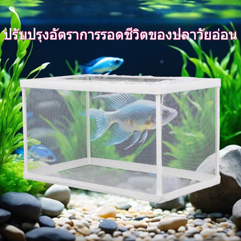 กล่องตาข่ายแยกปลา เพาะพันธุ์ปลา กล่องฟักไข่ปลา thumbnail 3
