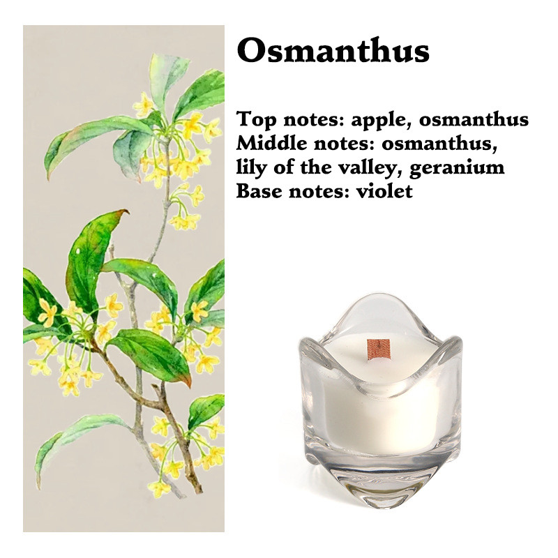 เทียนหอมไขถั่วเหลือง กลิ่นหอม เทียนหอมสร้างบรรยากาศ กลิ่นหอม เทียนหอมปรับอากาศ มีกลิ่นให้เลือกหลากหลาย - รูปที่ 3