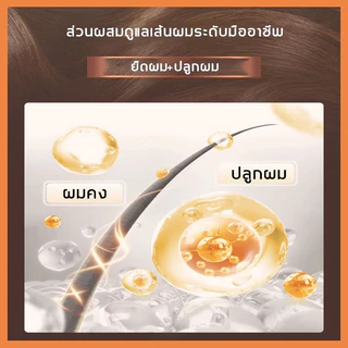ซื้อ 1 แถม 1สินค้านำเข้าPEIMEI แชมพูแก้ผมร่วง แชมพูสมุนไพรขิงบำรุงผม250ml แชมพูปลูกผม ยาสระผมแก้ร่วง แชมพูขิงเพียว แชมพู