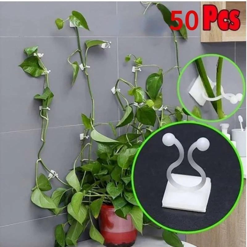 5 ชิ้น/เซ็ตพลาสติกที่มองไม่เห็น Wall Vines Fixture Wall Sticky Hook Self กาว Vines Fixing คลิป Vines