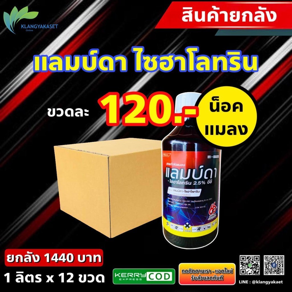 ยกลัง 12 ขวด แลมบ์ดา 1 ลิตร 66 สารกำจัดแมลง เจ-ฮาโลทริน 1ลิตร แลมป์ดา ไซฮาโลทริน แลมบ์ดา ยาน็อคแมลง สูตรเย็น สารกำจัดแม