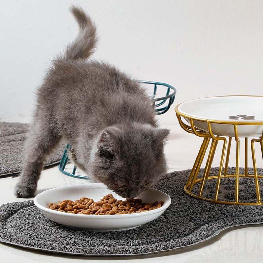 Possney ชามอาหารแมว Anti-cervical Spondylosis สูง Cat Feeder เครื่องดื่มสําหรับสุนัขแมวขนมขบเคี้ยวจานกระป๋อง Elevated Pet Feeder ชาม