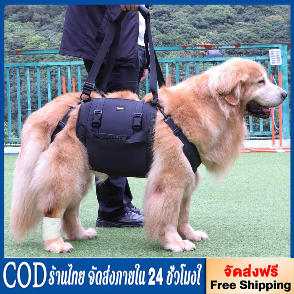 ผ้าพยุงสัตว์เลี้ยง แบบยกทั้งตัว