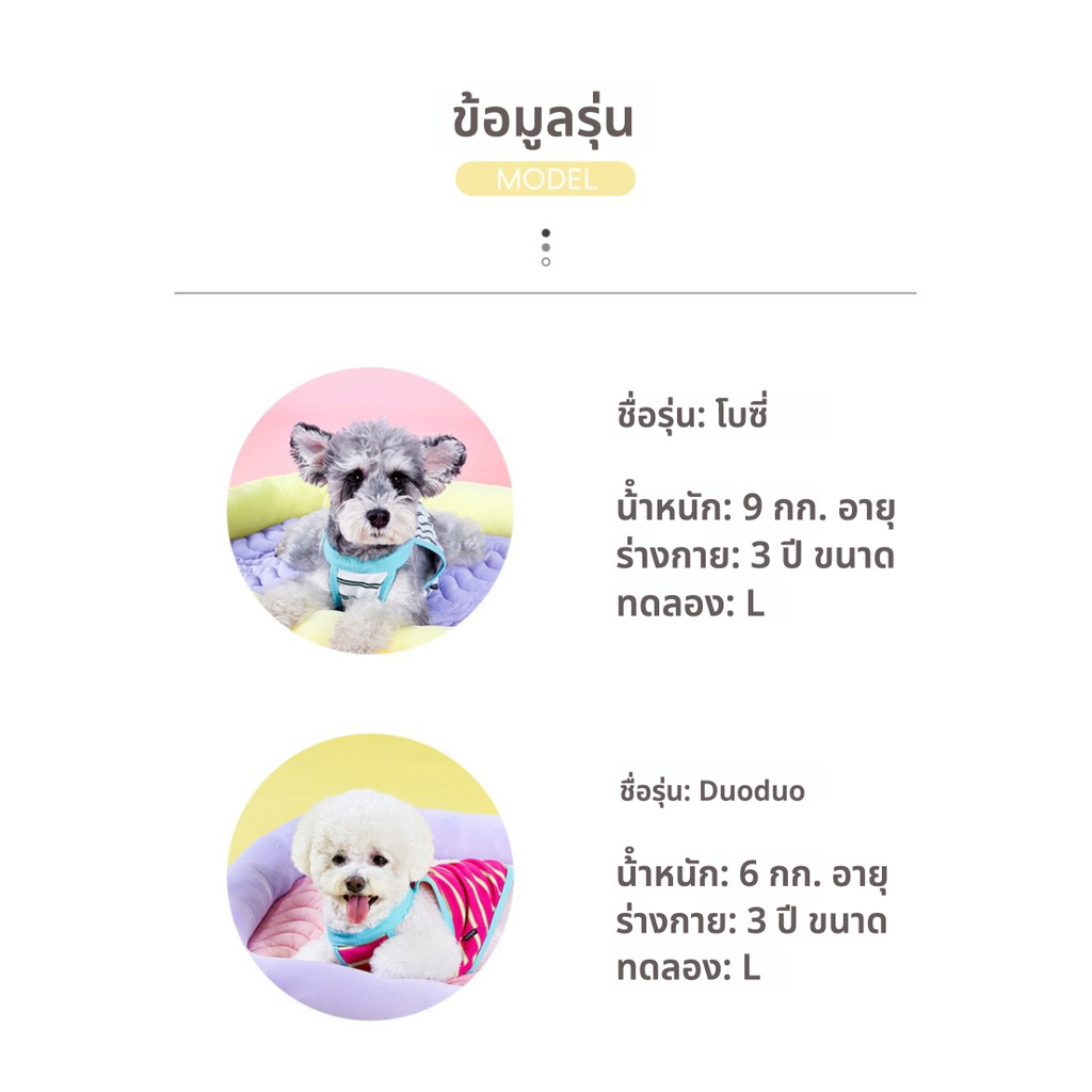 CheesePet เบาะสัตว์เลี้ยงแบบเย็นสบาย เตียงแมว เตียงสุนัขขนาดเล็ก ใช้งานได้ทุกฤดู ราคา ถูกที่สุด ดีลบีเคเค แกลเลอรีภาพที่ 7