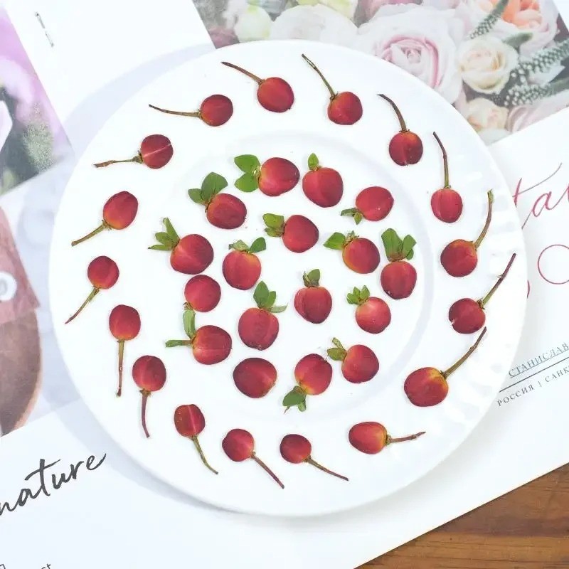 กดเชอร์รี่ผลไม้แห้ง-วัสดุงานฝีมือ ทําเอง สําหรับเรซิน,เคสโทรศัพท์,กรอบรูปและภาพวาดพืช