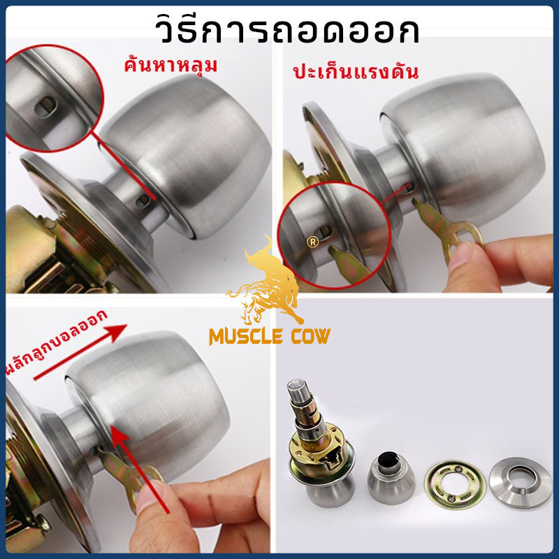 ลูกบิดประตู MUSCLE COW คุณภาพส่งออก มี6แบบ ดอกกุญแจเป็นระบบปั้ม ให้ระบบล็อคแน่นหนา มีความปลอดภัยสูง - รูปที่ 6