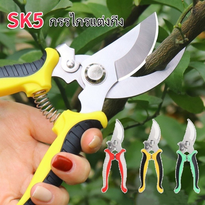 พร้อมส่ง✄SK5 กรรไกรแต่งกิ่ง กรรไกรสแตนเลส กรรไกรสำหรับตัดแต่งกิ่งไม้ ดอกไม้ เครื่องมือจัดทำสวน คมทน