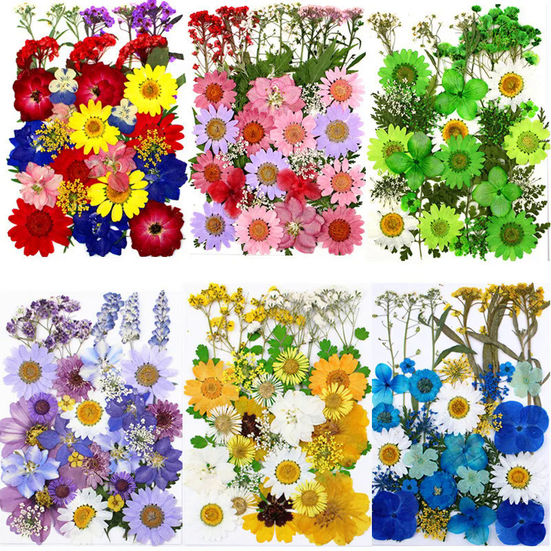 1Bag Dried Flowers Pressed Flowers Stickers for DIY Phone Case Epoxy Resin Filling Pendant Jewelry M