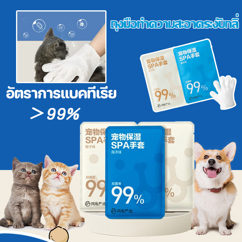 COD ถุงมือทำความสะอาดระงับกลิ่ ถุงมือสัตว์เลี้ยงแบบใช้แล้วทิ้ง ทิชชู่เปียกสัตว์เลี้ยง าผ้าเช็ดตาสัตว์เลี้ยง กายสำหรับแมว
