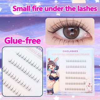 นตาปลอแบบตมีกาวในตัวของ จะช่วยประหยัดเวลาสำหรับผู้ที่เร่งรีบ…