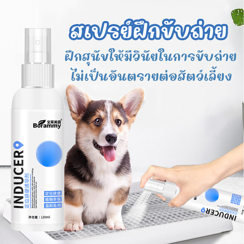 สเปรย์ฝึกการขับถ่าย ให้ฉี่ ห้ามฉี่ สำหรับสัตว์เลี้ยง สเปรย์ฝึกสุนัขขับถ่าย สเปรย์ฝึกขับถ่าย สเปรย์ฝึกการขับถ่าย