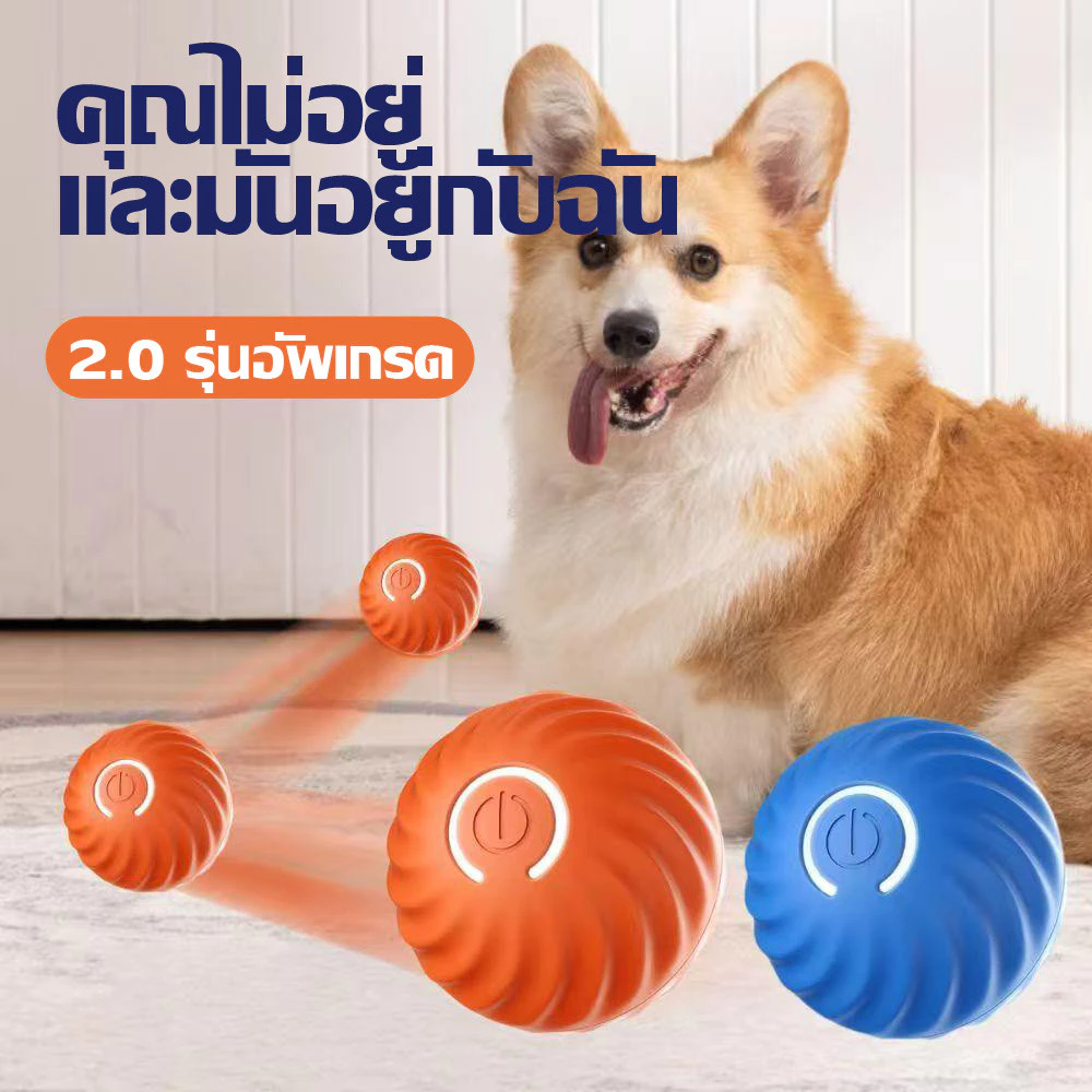 ลูกบอลไฟฟ้าอัตโนมัติ-พอร์ต-USB-สําหรับฝึกสุนัข-แมว
