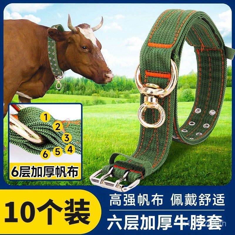 Bolt Cattle หนาวัวอุปกรณ์ Bolt วัวเชือกสัตว์แกะเนื้อ Breeding คอขนาดใหญ่เต็มคอแขนเชือก