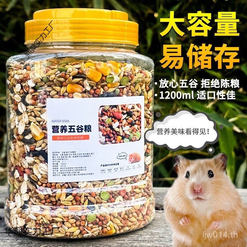 Grain Rat Food Staple Food Small Hamster Nutritious Food Food Multigrain Hamster Golden Hamster อาหา