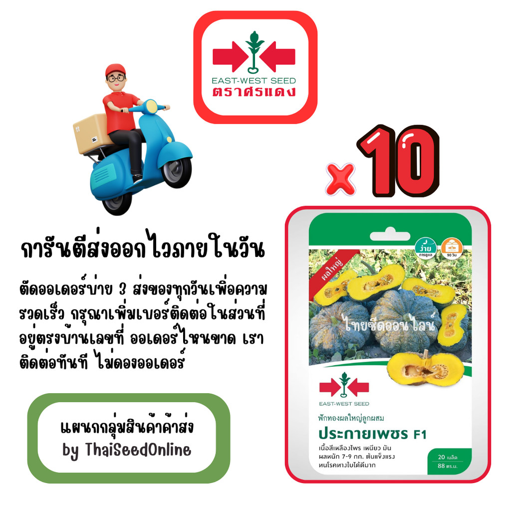 GG x 10 เมล็ดผักซองศรแดง ประกายเพชร ฟักทอง สินค้ายกแพ็ค