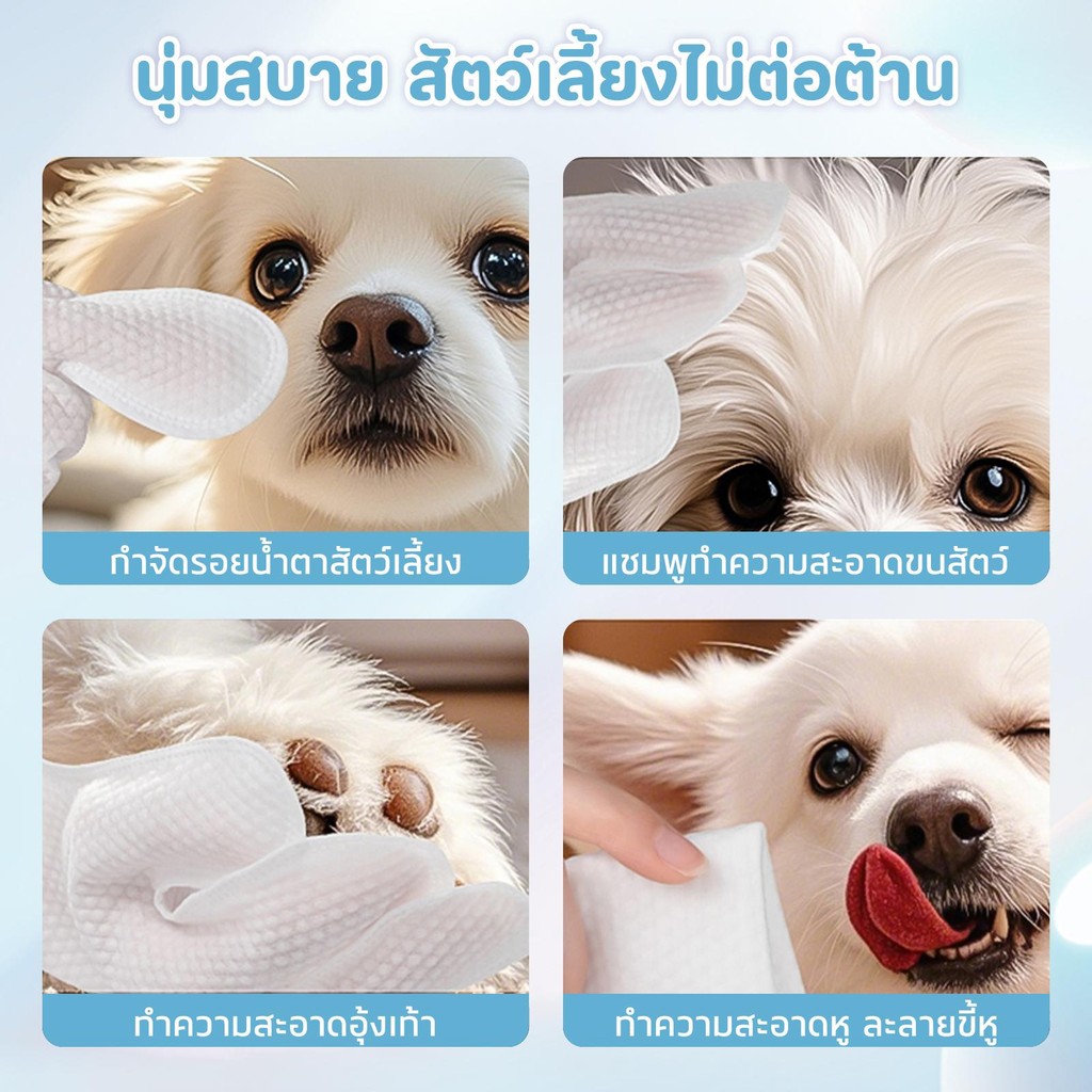 รูปภาพ 7