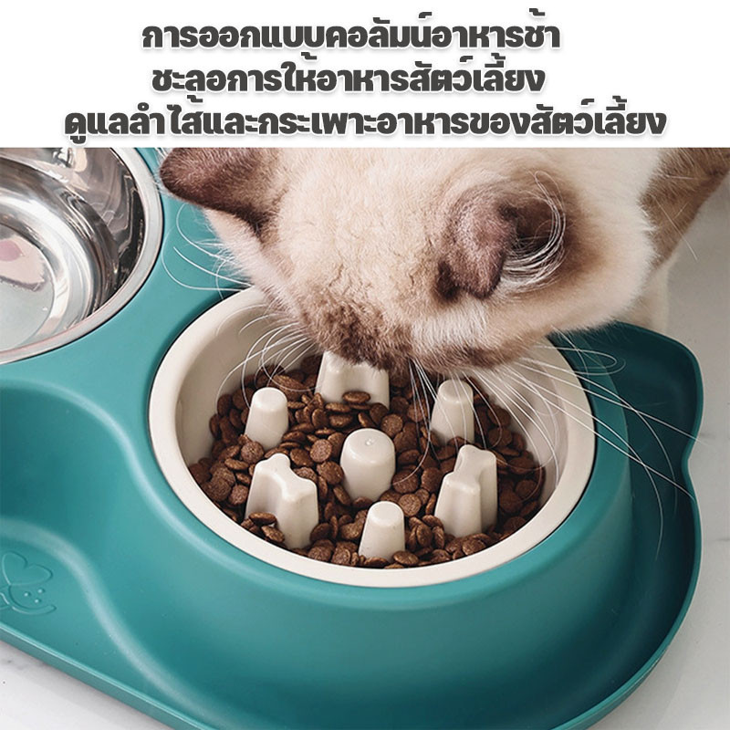 พร้อมจัดส่ง ชามอาหารสัตว์เลี้ยง 2in1 ชามอาหารช้า เหล็กกล้าไร้สนิม ป้องกันการสําลัก ถอดออกได้และทนทาน ป้องกันการพลิกคว่ํา ราคา ถูกที่สุด ดีลบีเคเค แกลเลอรีภาพที่ 2