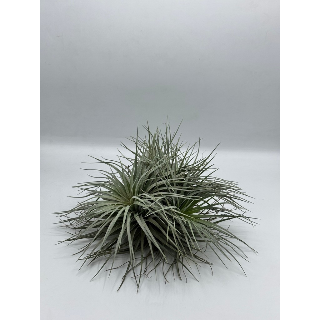 มุมมอง 3