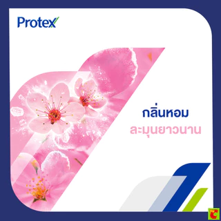 โพรเทคส์ แป้งเย็น สูตรบลอสซั่ม 280 ก. แพ็คคู่