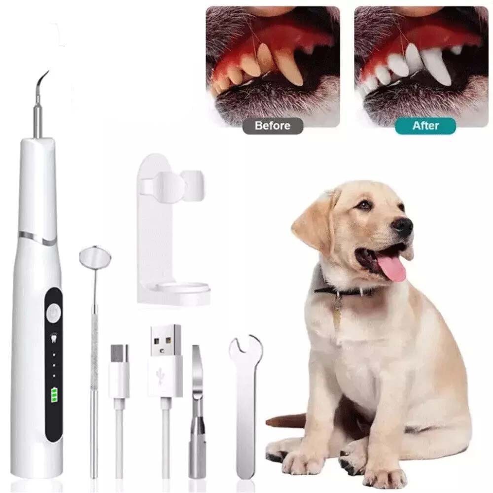Pet Ultrasonic Toothbrush Tartar Plaque Remover Dental Cleaning Tool