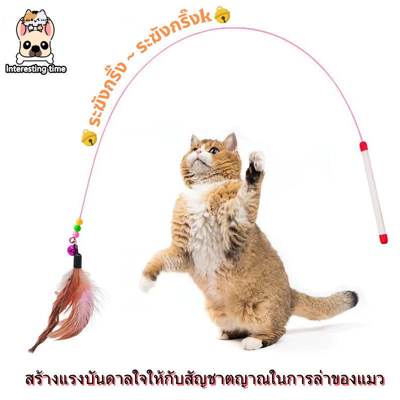 【พร้อมส่ง】ของเล่นแมว ของเล่นขนแมว ไม้ยาวให้แมวเล่น ไม้แกล้งแมว ฝึกเกา ฝึกความรู้สึกกับแมว - รูปที่ 2