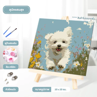 Ohayo [มีเฟรม] 20*20 ซม ระบายสีตามตัวเลข ภาพวาดตกแต่งอะคริลิก ของเล่นวาดภาพ ของขวัญเด็ก กระตุ้นจินตนาการ