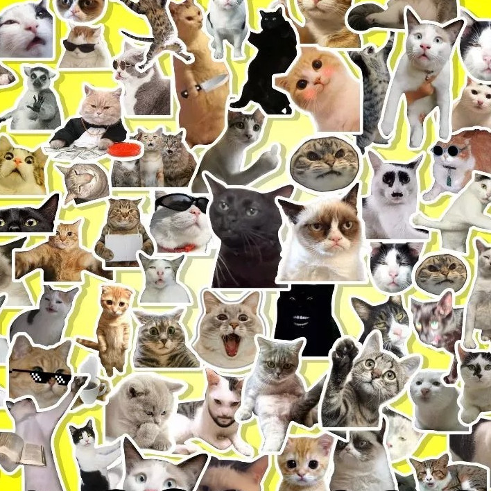 WRSR27 Meme Cat Sticker / Cute Aesthetic Sticker / Cat Sticker Pack