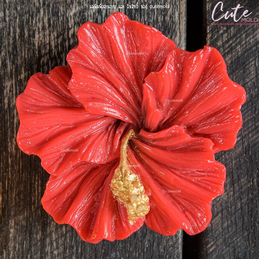 มีสินค้า/ แม่พิมพ์ อาลัว สัมปันนี วุ้น แม่พิมพ์ฟองดอง ดาวเรือง ชบา พุดตาน x27 x29 x31 x32 x35 x36 x25 x33 x34 (เลือกแบบ) - รูปที่ 4