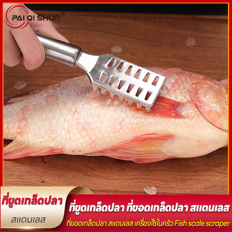 PQS ที่ขอดเกล็ดปลา ที่ขูดเกล็ดปลาสแตนเลส อุปกรณ์ขอดเกล็ดปลาสแตนเลส ขอดเกร็ดปลา