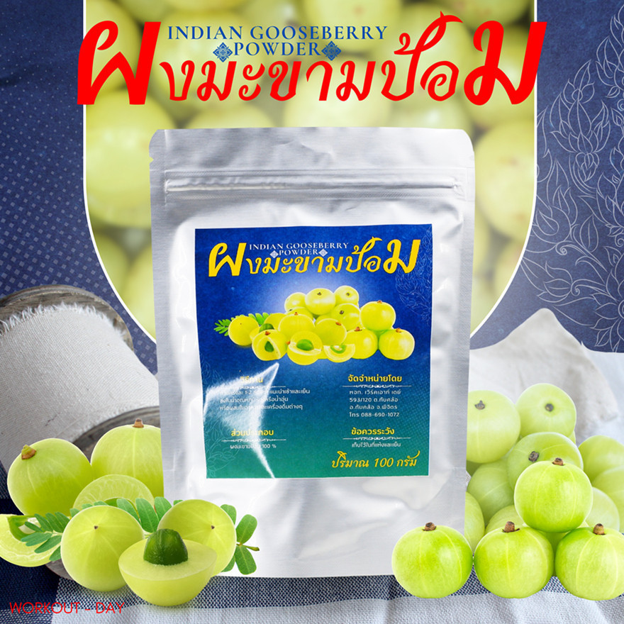 ผงมะขามป้อม Indian Gooseberry Powder ขนาด 100 กรัม