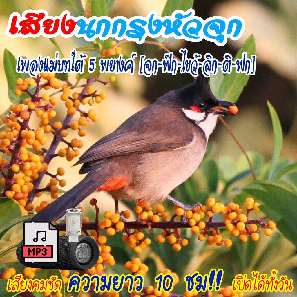 เสียงนกกรงหัวจุก (ชุดที่ 20) เพลงแม่บทใต้ 5 พยางค์ (จก-ฟิก-ไขว้-ลิก-ติ-ฟก) แฟลชไดร์ฟ USB เสียงนกแท้ เสียงดังฟังชัด100% ราคา ถูกที่สุด ดีลบีเคเค แกลเลอรีภาพที่ 2