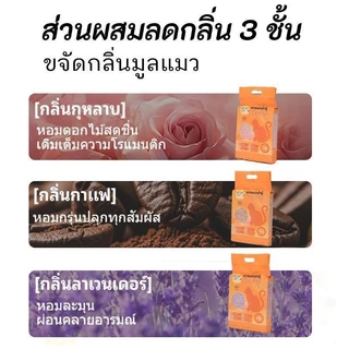 ทรายแมวเต้าหู้ ออร์แกนิค【Premium 4ถุง/ลัง】PetyPet เกรดพีเมี่ยม อัปเกรด 5 ด้าน ดูดซับน้ำรวดเร็ว จับตัวเป็นก้อนใน 3 วิ 6L