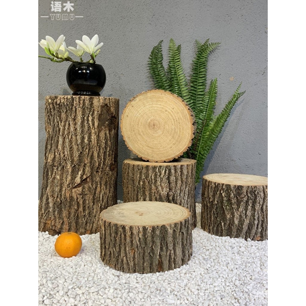 ไม้ Stump ไม้ Pier จัดส่งฟรี Pastoral ดอกไม้ขาตั้ง Log รอบ Bark tian Camphor ไม้เครื่องประดับแกะสลัก