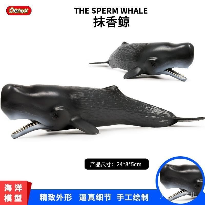 Megalodon รุ่นจําลองเครื่องประดับชีวภาพสัตว์เด็ก Ocean ของเล่น Whale Big Shark White Shark Spread Wh