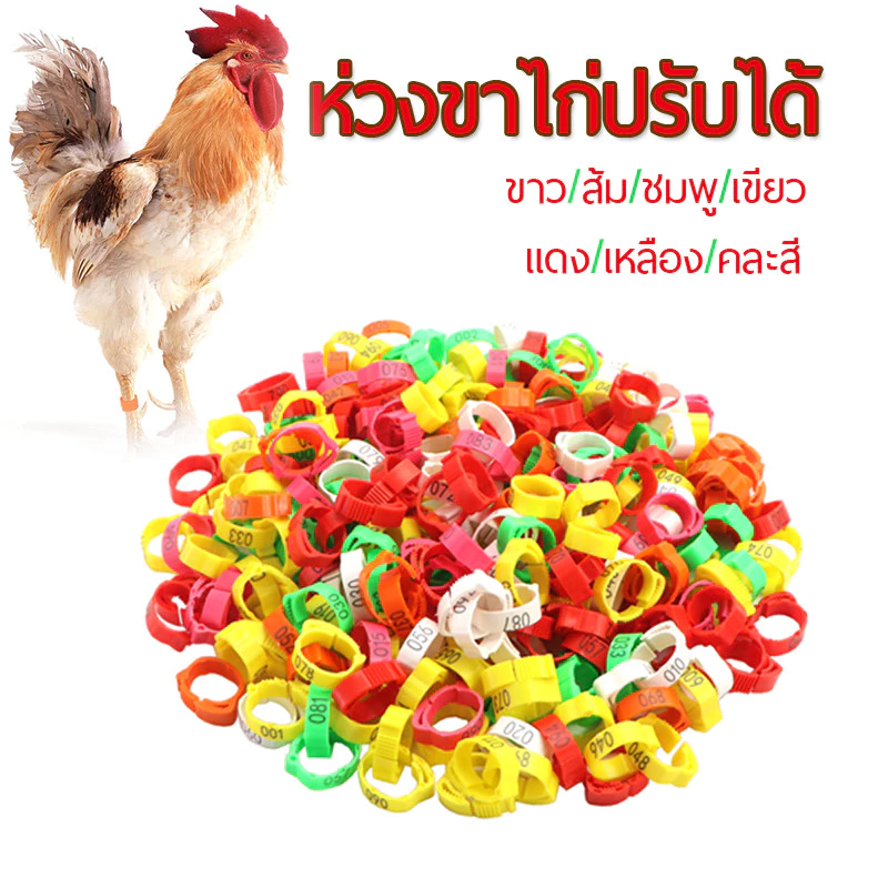 หลายสี ห่วงขาไก่100ชิ้น ห่วงเท้าไก่แหวนขาไก่พลาสติกปรับได้พร้อมตัวเลข แถบขาไก่ที่มีสีสันวงขาสัตว์ปีก