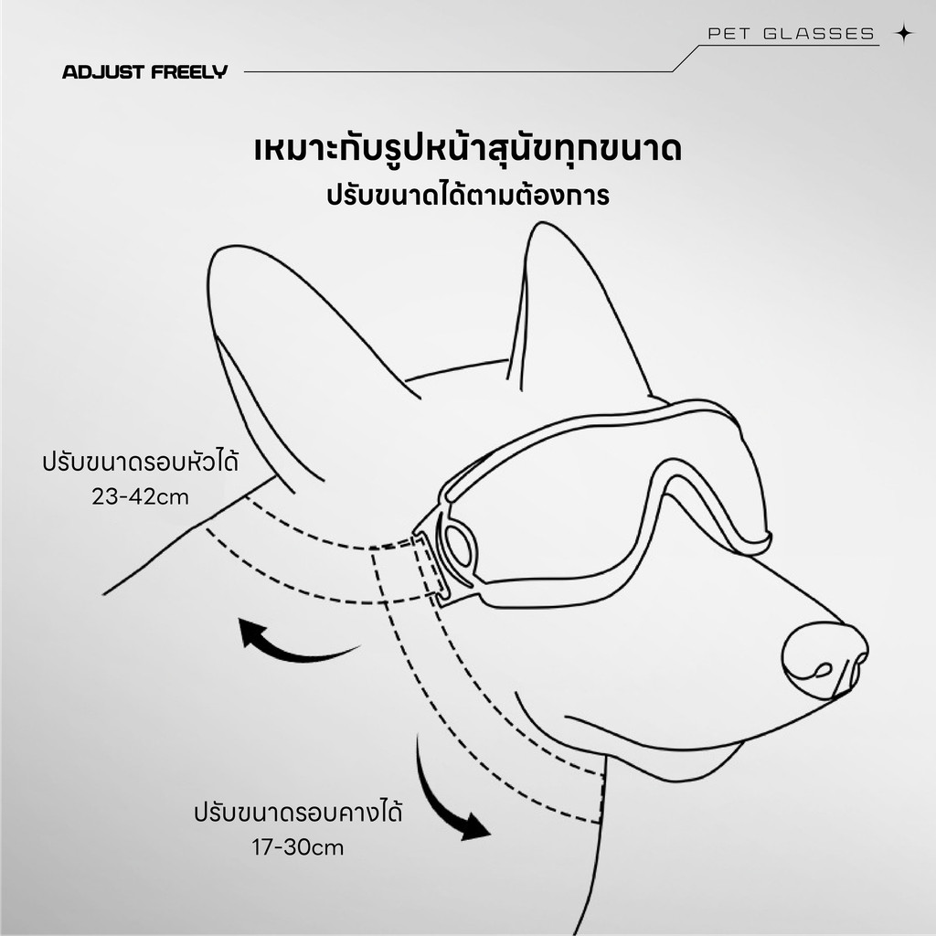 รูปภาพ 3