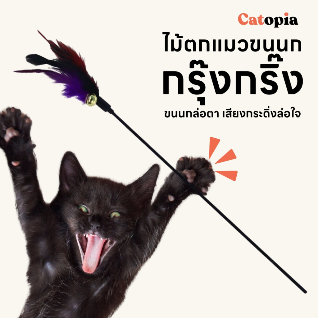 ไม้ตกแมวขนนกกรุ๊งกริ๊ง ไม้ล่อแมว ของเล่นแมว Selected By Catopia