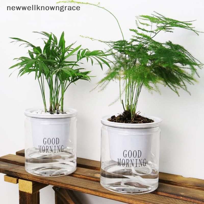 Newwellknowngrace Round Automatic Water Absorption Self-watering กระถางดอกไม้ TH