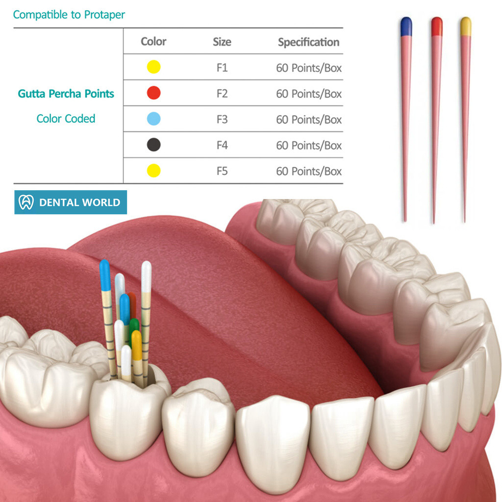 ทันตกรรมเฉพาะ Gutta Percha Points Endo Greater F1 F2 F3 F4 F5 F1-F3 - รูปที่ 3