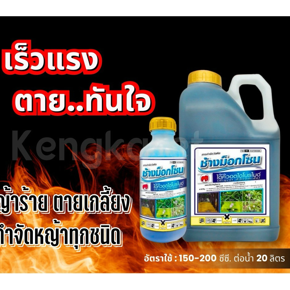 ช้างม็อคโซน #ไดควอตไดโบรไมด์ เผาไหม้ เร็วทันใจ ช้างไทยออน #กรัมม็อกโซน