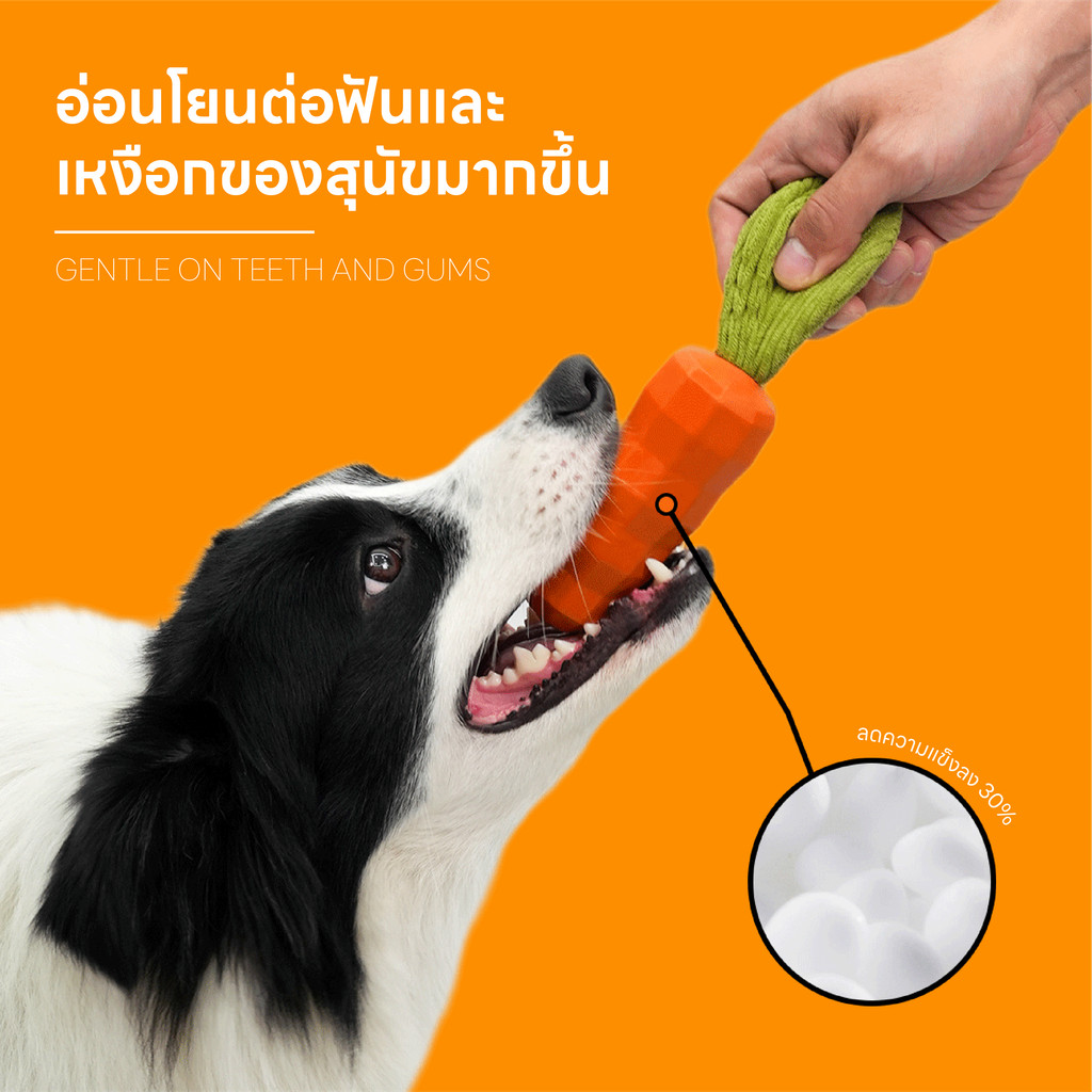 Doge&Orange พร้อมส่ง ยางกัดสุนัข ของเล่นยางกัดสัตว์เลี้ยง รูปทรงแครอท ช่วยขัดฟัน ลดคราบหินปูน PU157 - รูปที่ 3