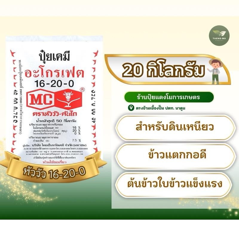 [ แบ่งขาย20กิโล ] ปุ๋ยหัววัว 16-20-0