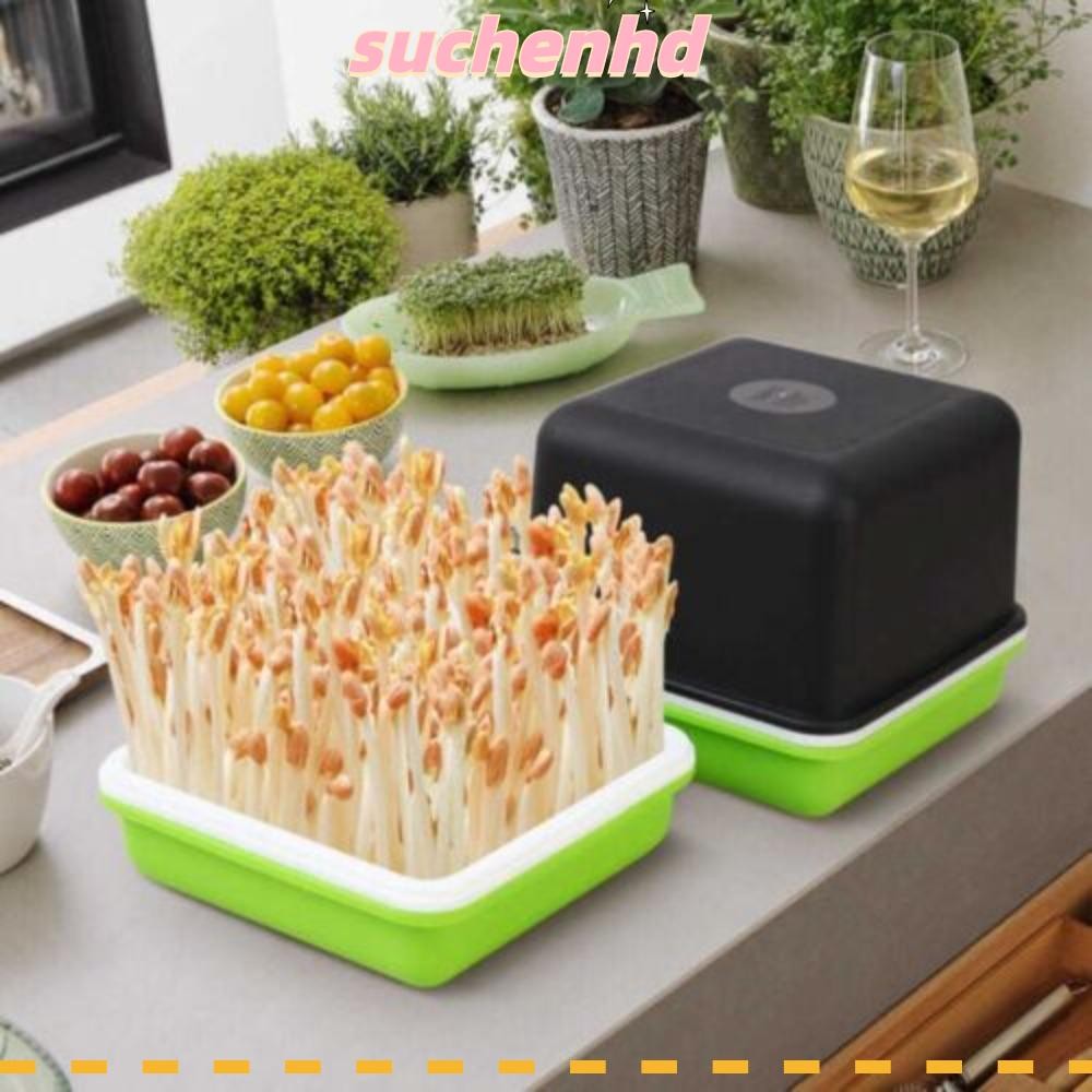 SUCHENHD 4 ชิ้น/เซ็ตต้นกล้า Sprouter ถั่วลิสง Bean Sprout กล่องปลูกพลาสติก Grow Germination หม้อ