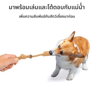 อุปกรณ์สัตว์เลี้ยง สุนัขเชือกฝ้ายปมของเล่นคอลเลกชันทําความสะอาดฟันทนทานเคี้ยวบรรเทาเบื่อปมเชือกของเล่นสุนัข