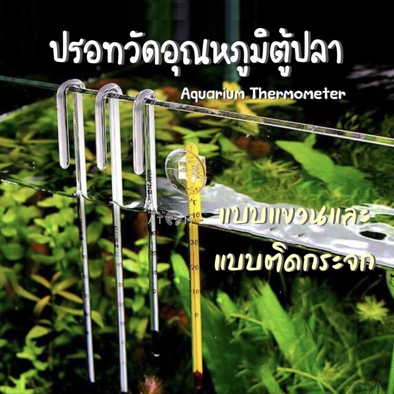 เทอร์โมมิเตอร์ (พร้อมส่ง) ปรอทวัดอุณหภูมิในตู้ปลา เทอร์โมมิเตอร์ตู้ปลา Aquarium Thermometer