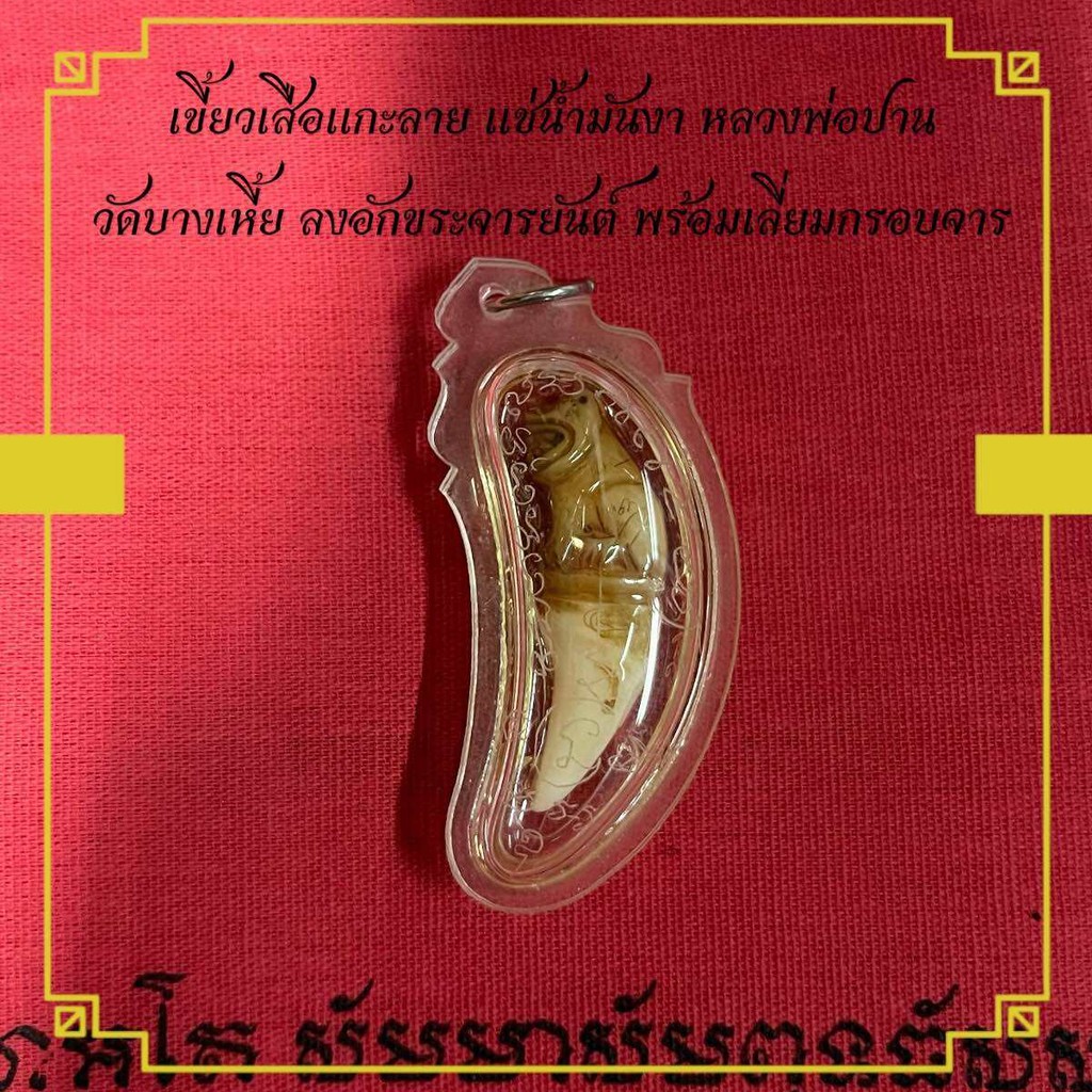 เครื่องรางวัตถุมงคล เขี้-ยว แกะลาย แช่น้ำมันงา หลวงพ่อปาน วัดบางเหี้ย ลงอักขระจารยันต์ พร้อมเลี่ยมกรอบจาร